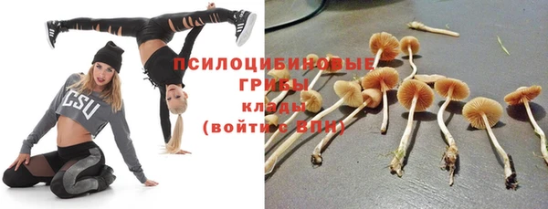 СК Новокубанск
