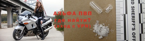 стафф Новозыбков