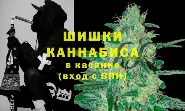 стафф Новозыбков