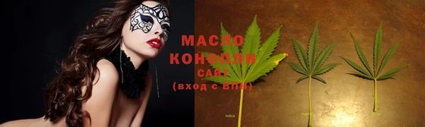 стафф Новозыбков