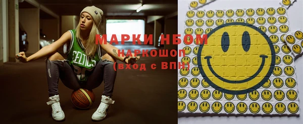 стафф Новозыбков