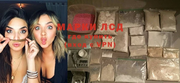 стафф Новозыбков