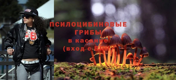 стафф Новозыбков