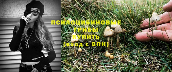 стафф Новозыбков